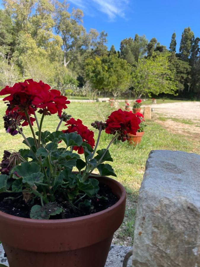 Villa Anna Maria Otranto Dış mekan fotoğraf
